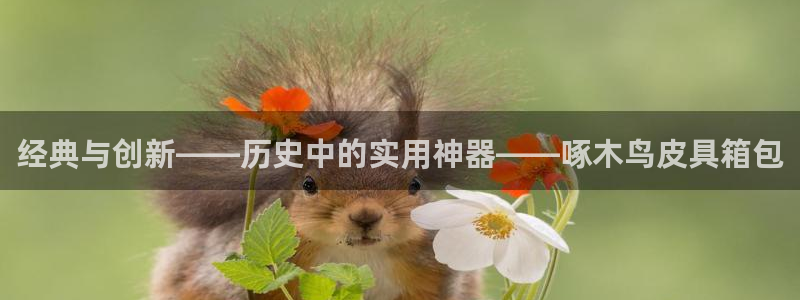 辉达娱乐加q75775