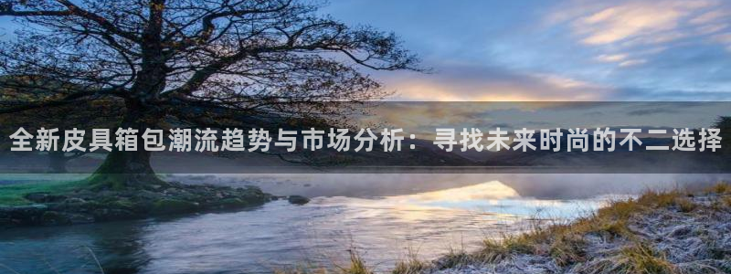 辉达娱乐电子