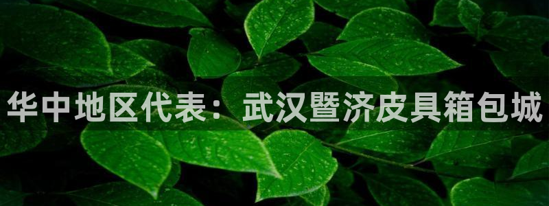 辉达娱乐福彩