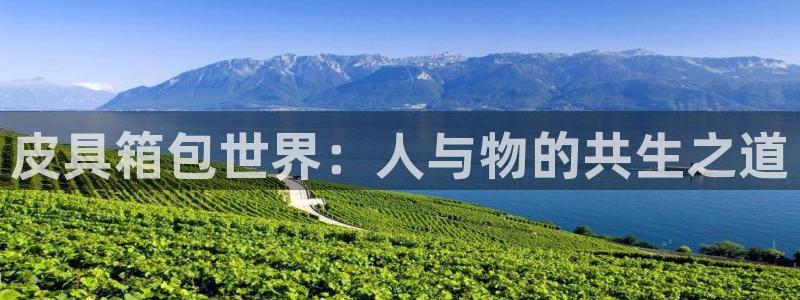 辉达娱乐正规吗