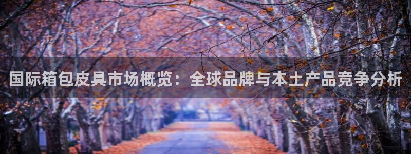 代理辉达娱乐开户注册