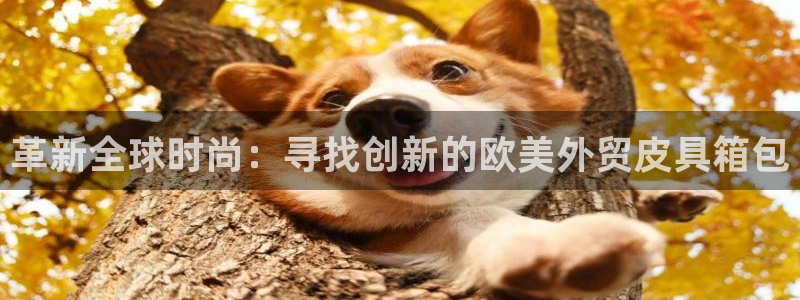 辉达娱乐检测