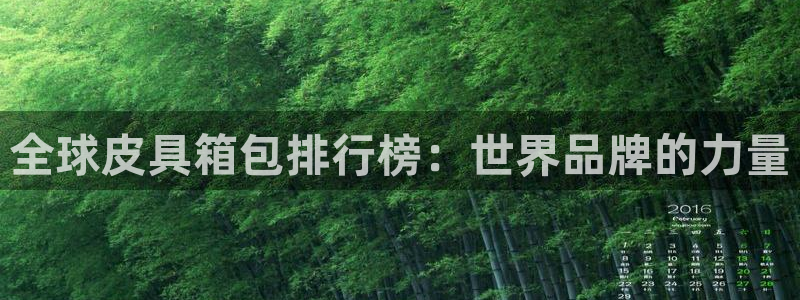 专业辉达娱乐平台