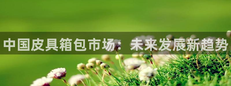 信誉辉达娱乐平台