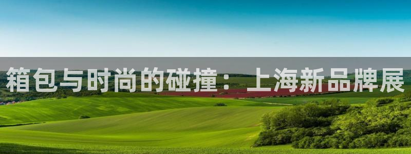 辉达平台注册官方网站入口