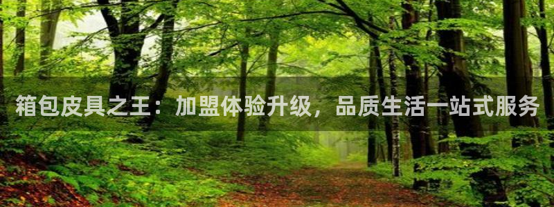 辉达娱乐珈75775