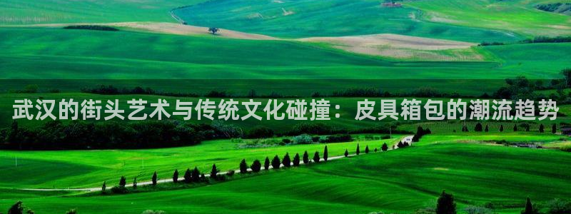 辉达娱乐重庆时时彩注册