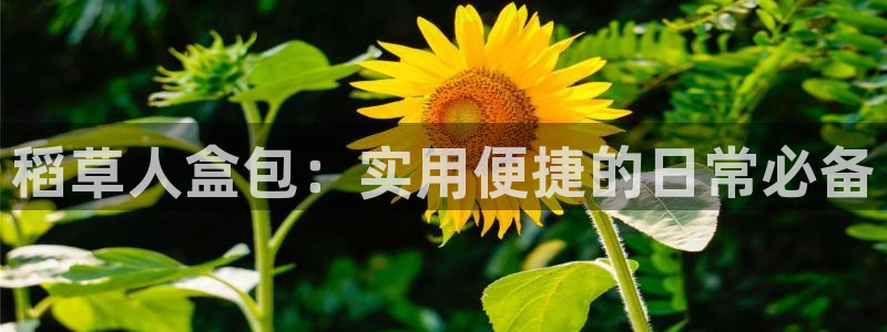 辉达平台官网电话