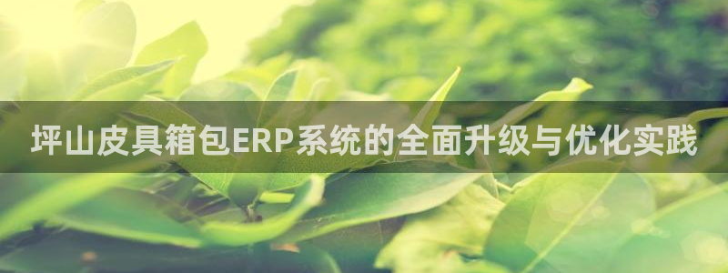 专业辉达娱乐平台