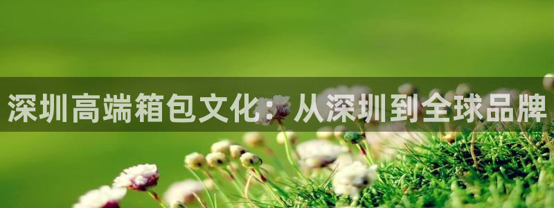 辉达娱乐