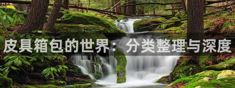 辉达娱乐珈75775