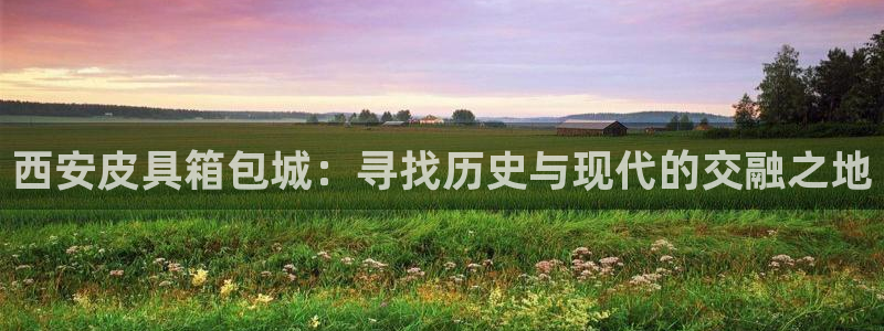 辉达娱乐公司