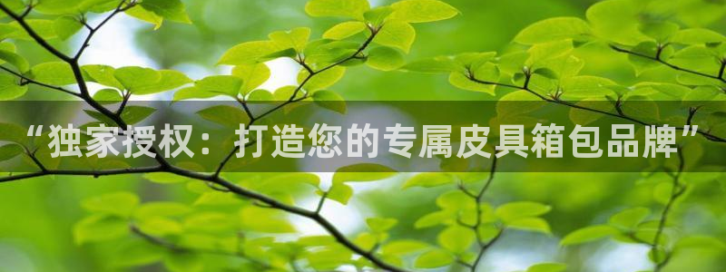 达利娱乐王辉