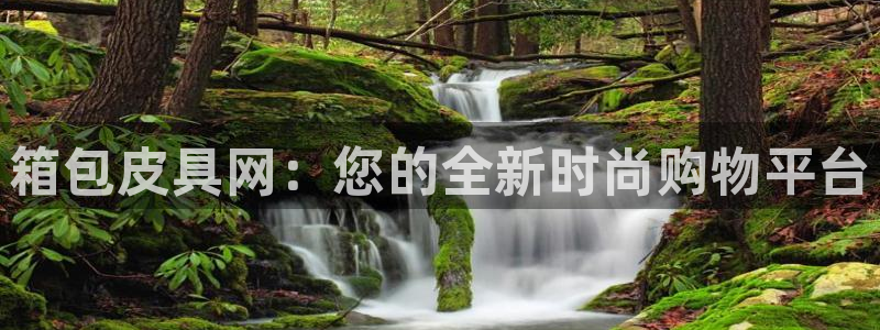 辉达娱乐最新现状