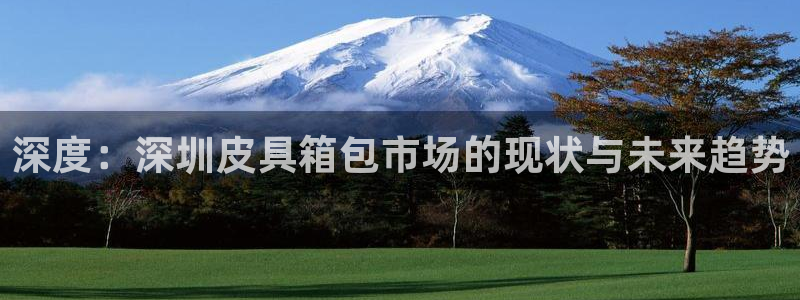 专业辉达娱乐在线游戏