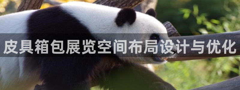 辉达娱乐最新现状