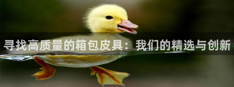 辉达娱乐最新版本更新内容