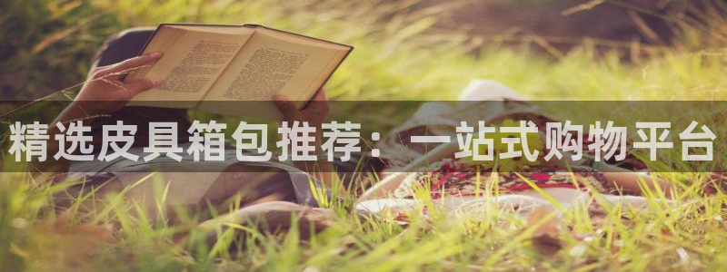 辉达平台官网网站