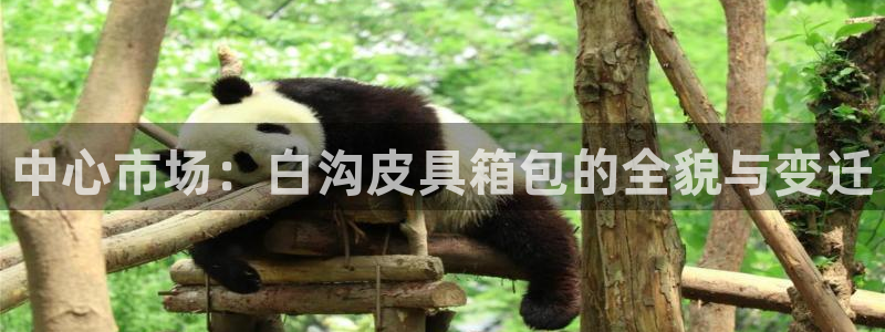 辉达娱乐丿39444