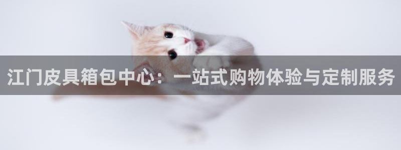 辉达平台娱乐怎么样