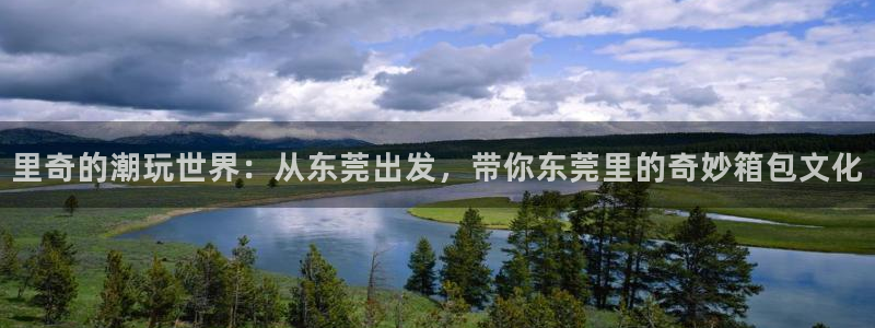 专业辉达娱乐平台