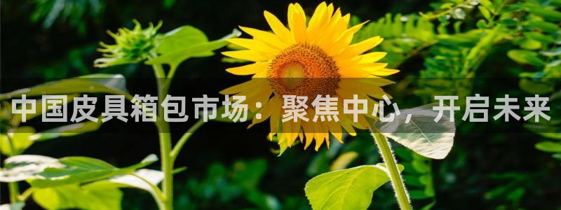 辉达娱乐珈75775