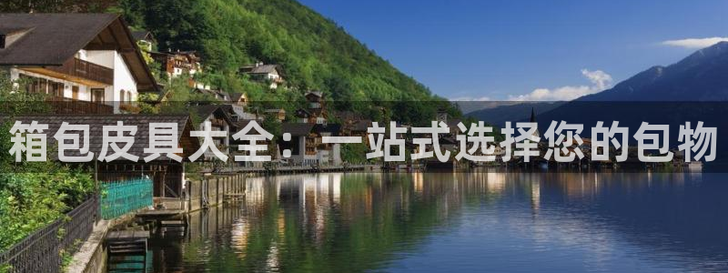 辉达集团官方网站