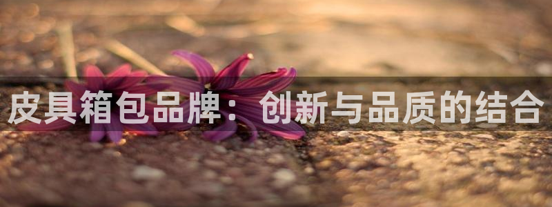 辉达娱乐体育竞猜