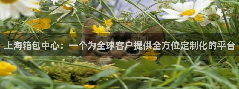 辉达娱乐丶39444