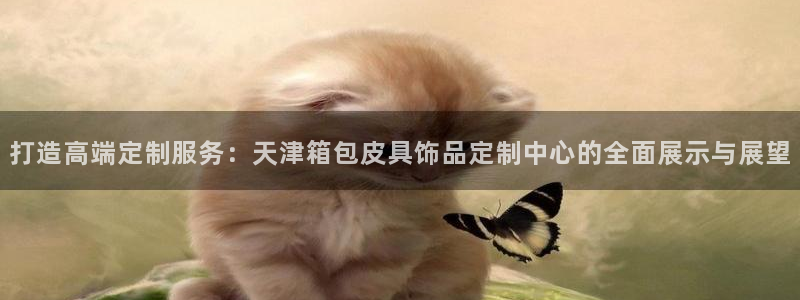 辉达娱乐ag游戏平台