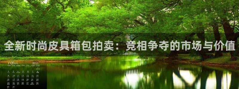 龙腾辉达电子娱乐