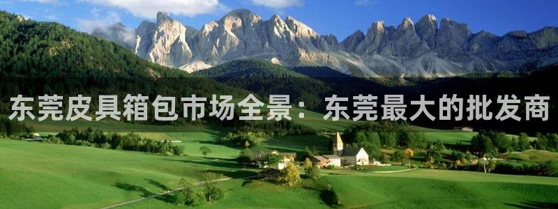 龙腾辉达电子娱乐