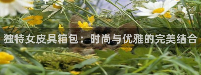 辉达娱乐广东11选5