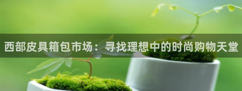 信誉辉达娱乐在线游戏