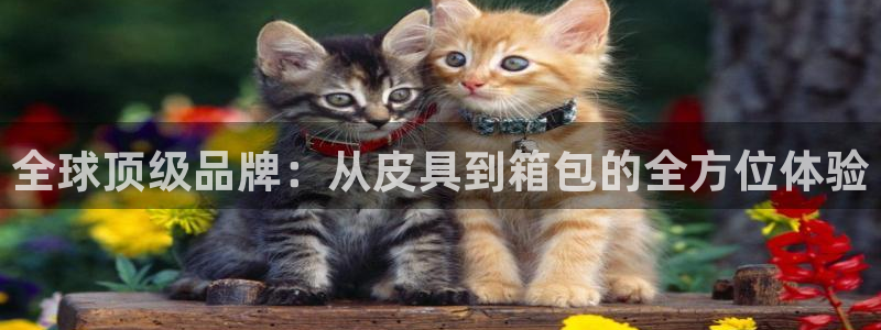 辉达娱乐丿75505