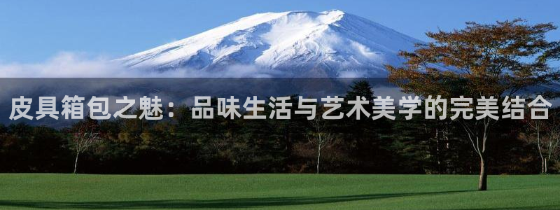 辉达平台注册入口