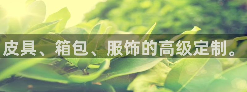 正规辉达娱乐在线游戏