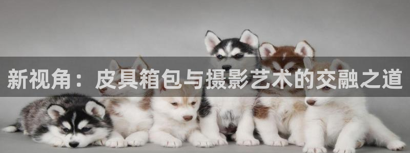 辉达娱乐计划软件