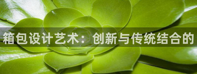 辉达娱乐电子游艺