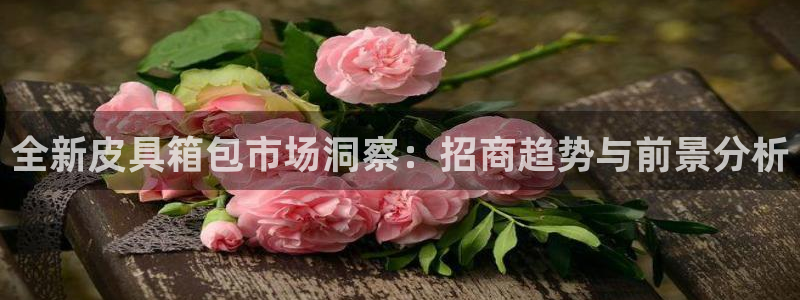 专业辉达娱乐在线游戏