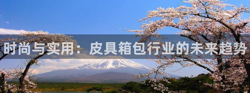 辉达娱乐丶75505