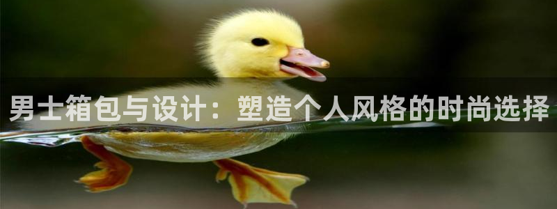 辉达平台官网网站