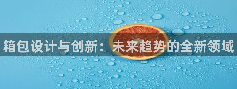 辉达平台注册资金多少