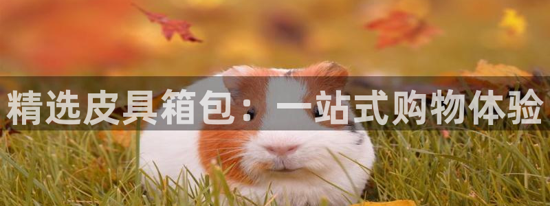 正规辉达娱乐开户注册