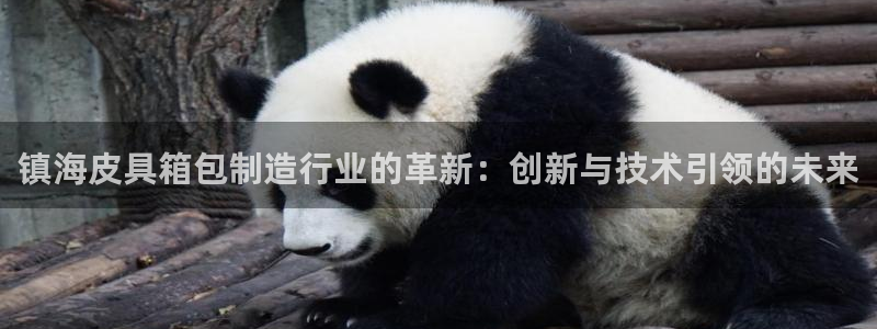 辉达平台娱乐怎么样