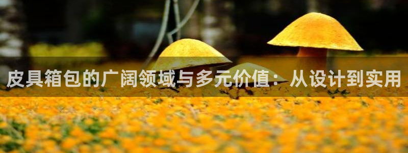 辉达娱乐新疆时时彩