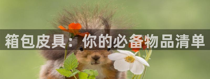 辉达娱乐最新现状