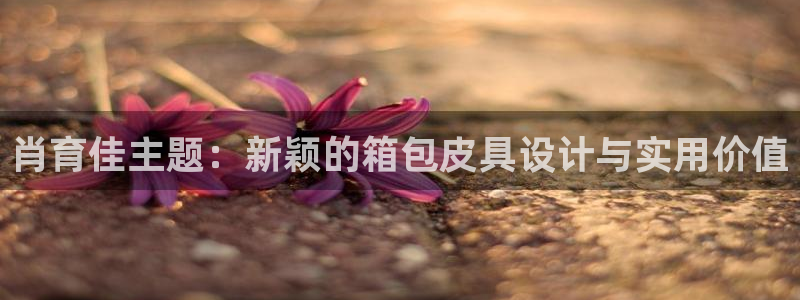 恒达娱乐辉70667