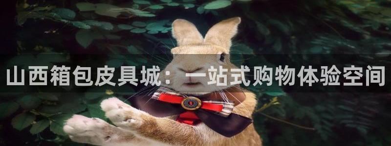 辉达娱乐线路检测