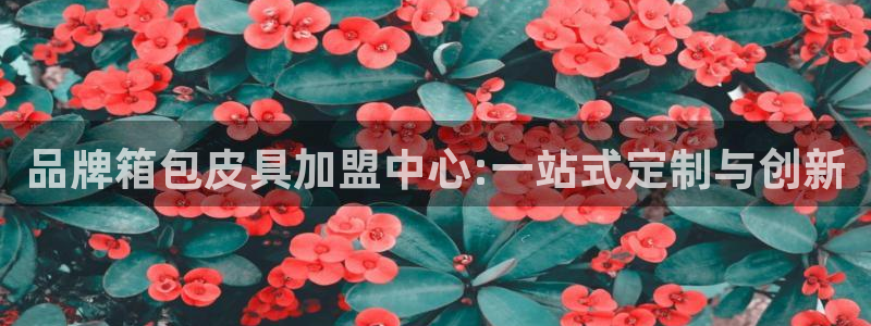 辉达娱乐时时彩